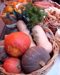 legumes automne