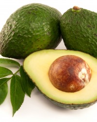 Ripe Organic Avocado on white background