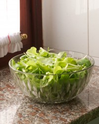 insalata di rucola