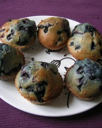 Muffins myrtilles