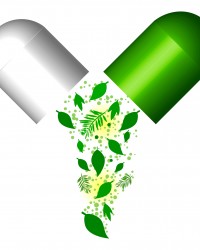 Green Capsule- Herbal Medical Concept